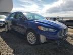 2013 Ford Fusion SE Hybrid