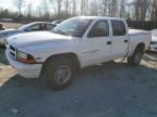 2000 Dodge Dakota Quattro