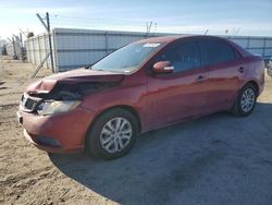 Salvage cars for sale at Bakersfield, CA auction: 2010 KIA Forte EX