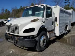 Salvage trucks for sale at Waldorf, MD auction: 2018 Freightliner Business Class M2 Delivery Truck