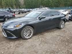 Salvage cars for sale at Graham, WA auction: 2023 Lexus ES 300H Base