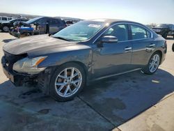 Carros salvage a la venta en subasta: 2009 Nissan Maxima S