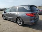 2024 Honda Odyssey EXL