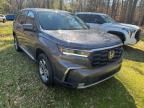 2025 Honda Pilot EXL