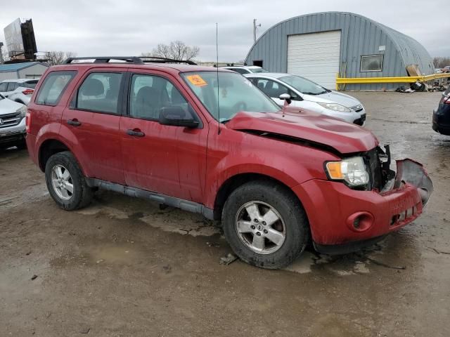 2010 Ford Escape XLS