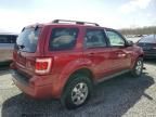 2008 Ford Escape Limited