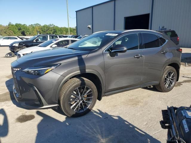 2024 Lexus NX 250 Base