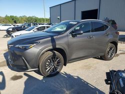 Salvage cars for sale at Apopka, FL auction: 2024 Lexus NX 250 Base