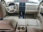 2010 Ford Escape Limited