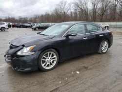 Salvage cars for sale at Ellwood City, PA auction: 2011 Nissan Maxima S