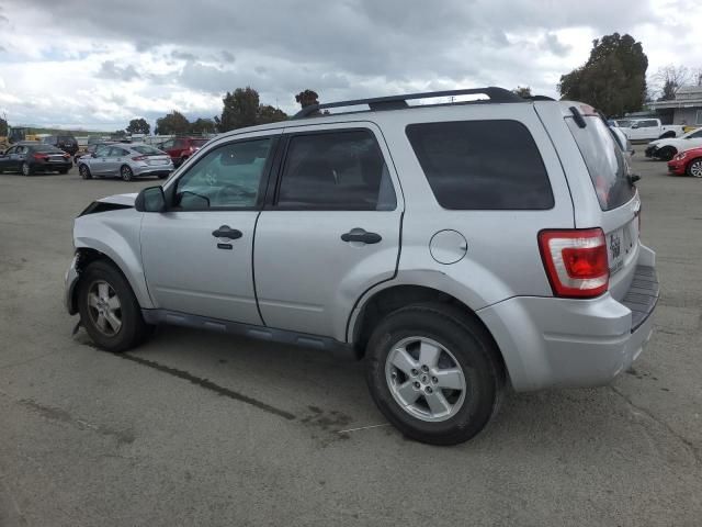 2009 Ford Escape XLT