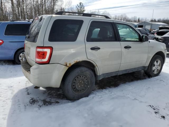 2009 Ford Escape XLT