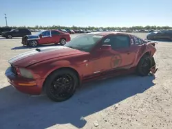 Salvage cars for sale at Arcadia, FL auction: 2007 Ford Mustang