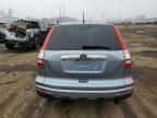 2010 Honda CR-V EXL