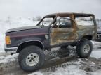 1987 Ford Bronco II