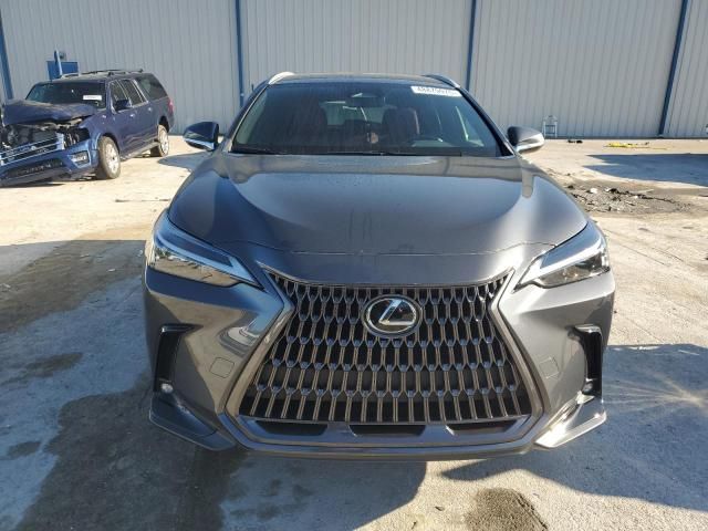 2024 Lexus NX 250 Base