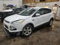 Salvage cars for sale at Ham Lake, MN auction: 2014 Ford Escape SE