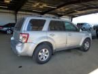 2009 Ford Escape Limited