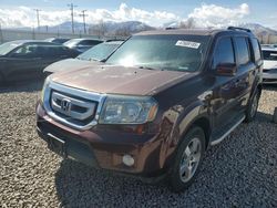 Salvage cars for sale at Magna, UT auction: 2010 Honda Pilot EXL