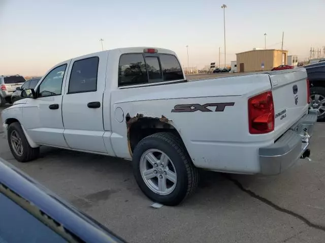 2007 Dodge Dakota Quattro