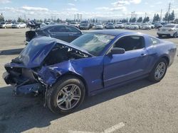 Salvage cars for sale from Copart Rancho Cucamonga, CA: 2014 Ford Mustang