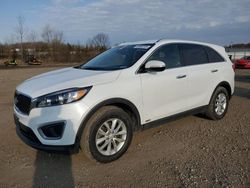 Salvage cars for sale at Columbia Station, OH auction: 2016 KIA Sorento LX