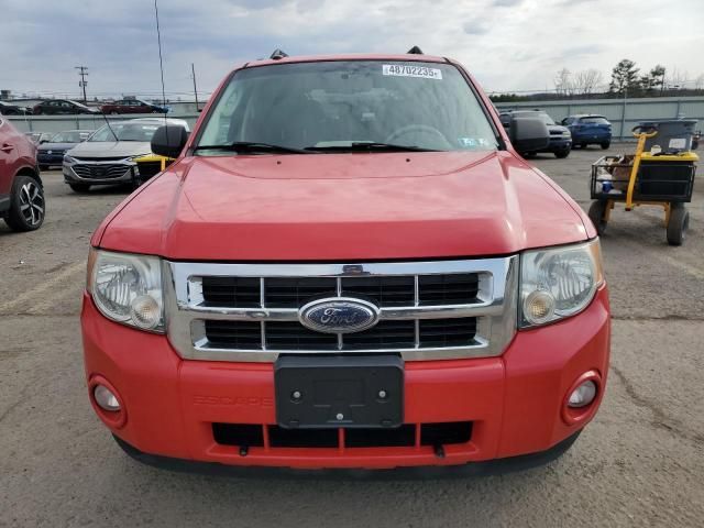 2009 Ford Escape XLT