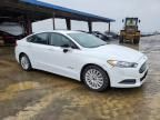 2016 Ford Fusion SE Hybrid