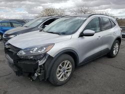 Salvage cars for sale at North Las Vegas, NV auction: 2020 Ford Escape SE