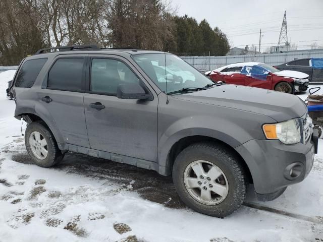 2011 Ford Escape XLT