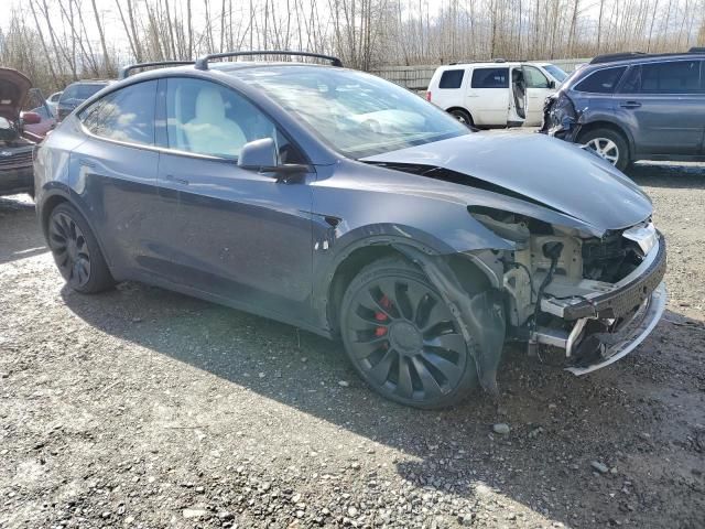 2022 Tesla Model Y