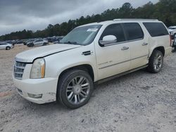 Cadillac salvage cars for sale: 2010 Cadillac Escalade ESV Platinum