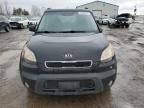 2010 KIA Soul +