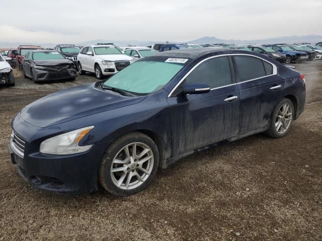 2009 Nissan Maxima S