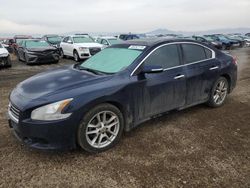 Nissan salvage cars for sale: 2009 Nissan Maxima S