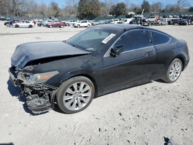 2009 Honda Accord EXL