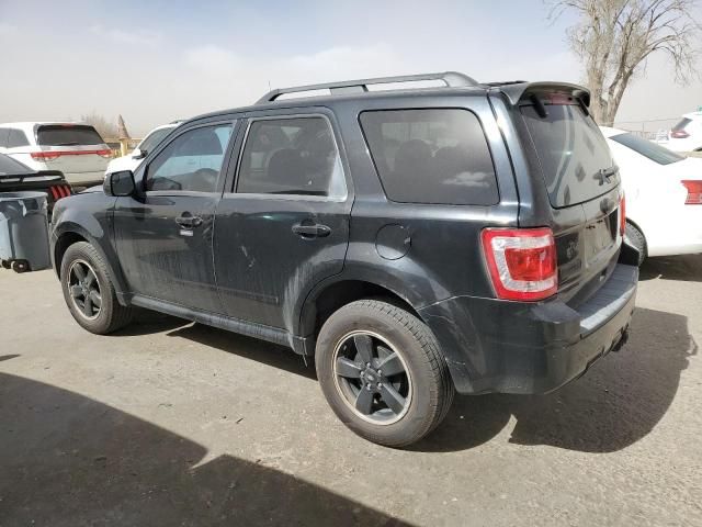 2010 Ford Escape XLT