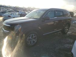 Salvage cars for sale at Earlington, KY auction: 2022 KIA Telluride EX