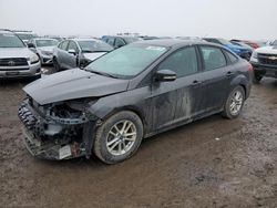 Salvage cars for sale at Helena, MT auction: 2015 Ford Focus SE