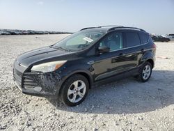 Salvage cars for sale at Temple, TX auction: 2013 Ford Escape SE