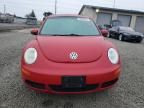 2006 Volkswagen New Beetle 2.5L Option Package 1