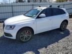 2016 Audi SQ5 Premium Plus