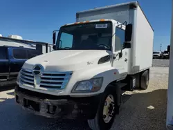 Salvage trucks for sale at Arcadia, FL auction: 2007 Hino Hino 338