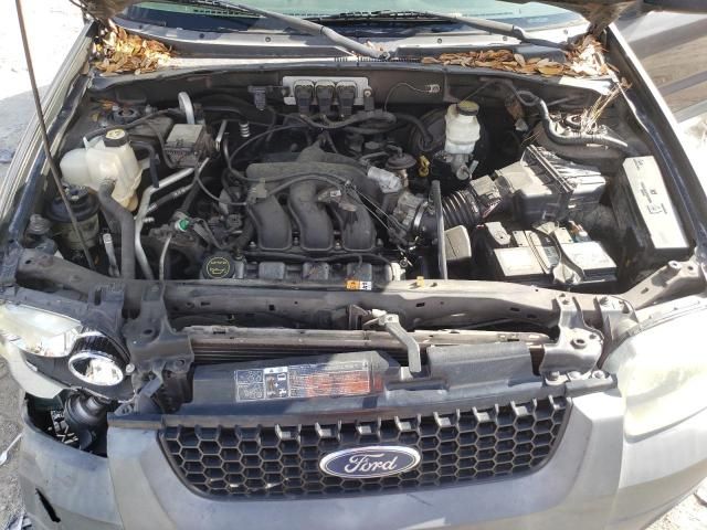 2005 Ford Escape XLT