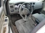 2007 Dodge Dakota SLT