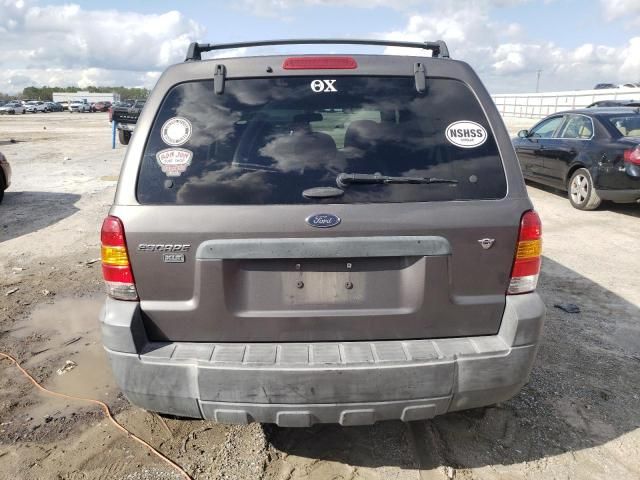 2005 Ford Escape XLT