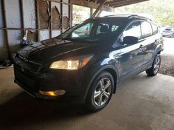 Salvage cars for sale at Kapolei, HI auction: 2015 Ford Escape SE