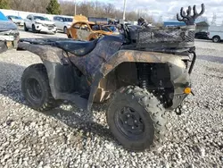 2022 Honda TRX420 FA en venta en Memphis, TN