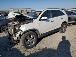 Salvage cars for sale at Earlington, KY auction: 2013 KIA Sorento EX