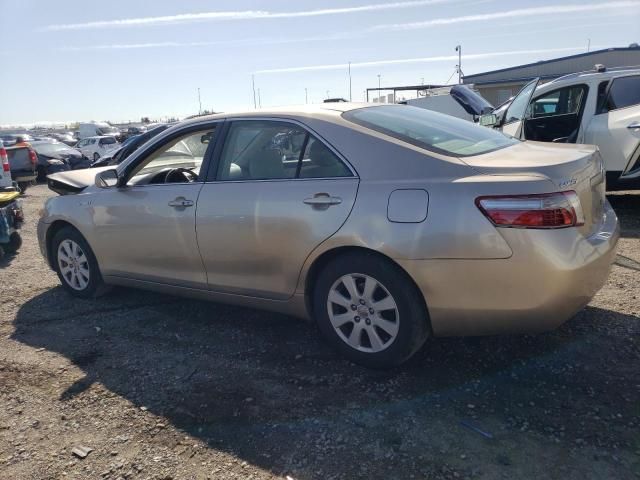 2009 Toyota Camry Hybrid